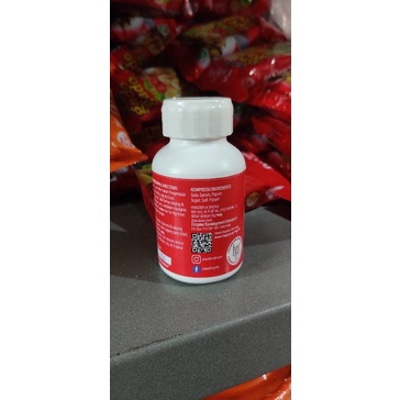 Pengempuk Daging / Pepaya cap PAYA kemasan botol 70gr