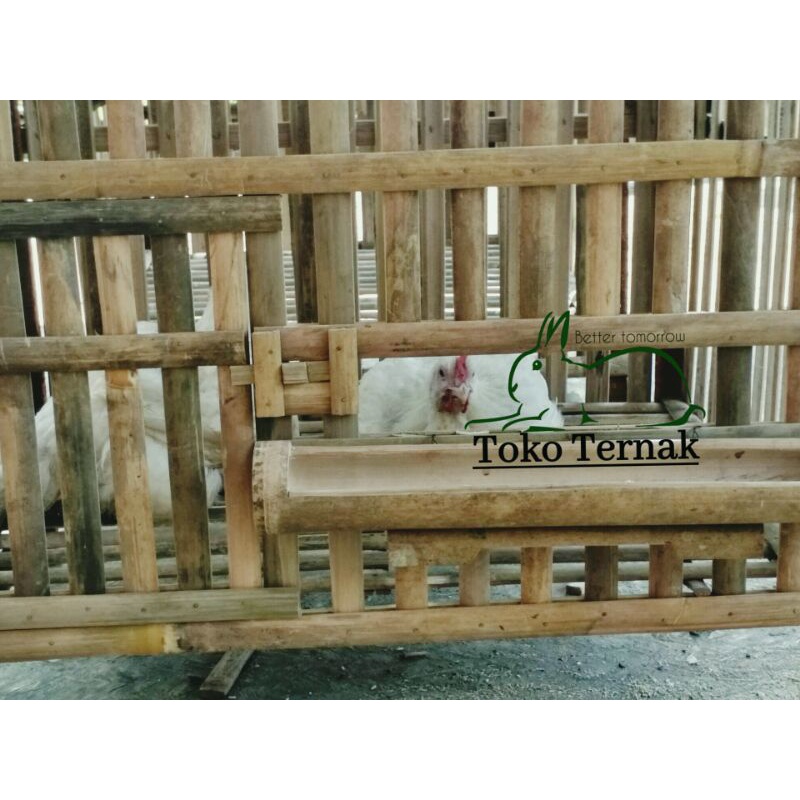 KANDANG AYAM BAMBU RAKIT