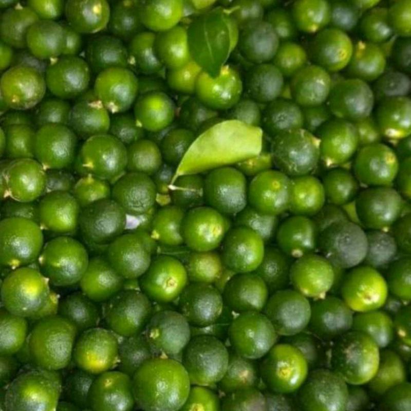 

Jeruk sonkit 250 gr /songkit / kasturi /kesturi /kalamansi/jeruk cui/jeruk kunci 250 gr