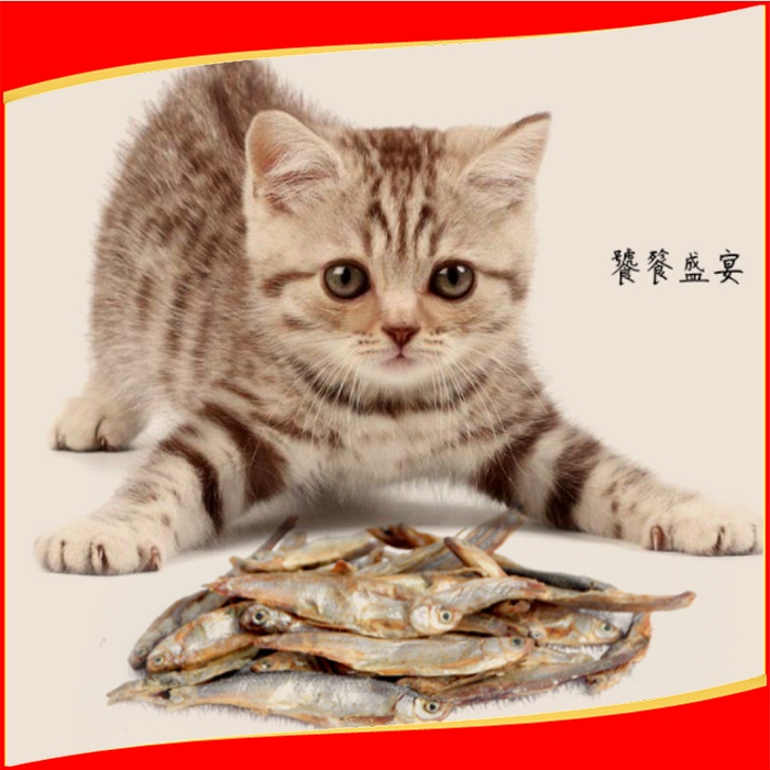 Cemilan Kucing Anjing Ikan Teri Kering 50gr