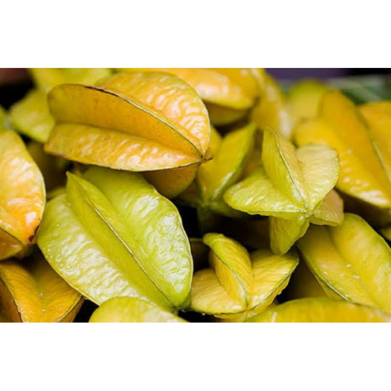 

Belimbing Bintang Obat Vertigo dan maag/1KG