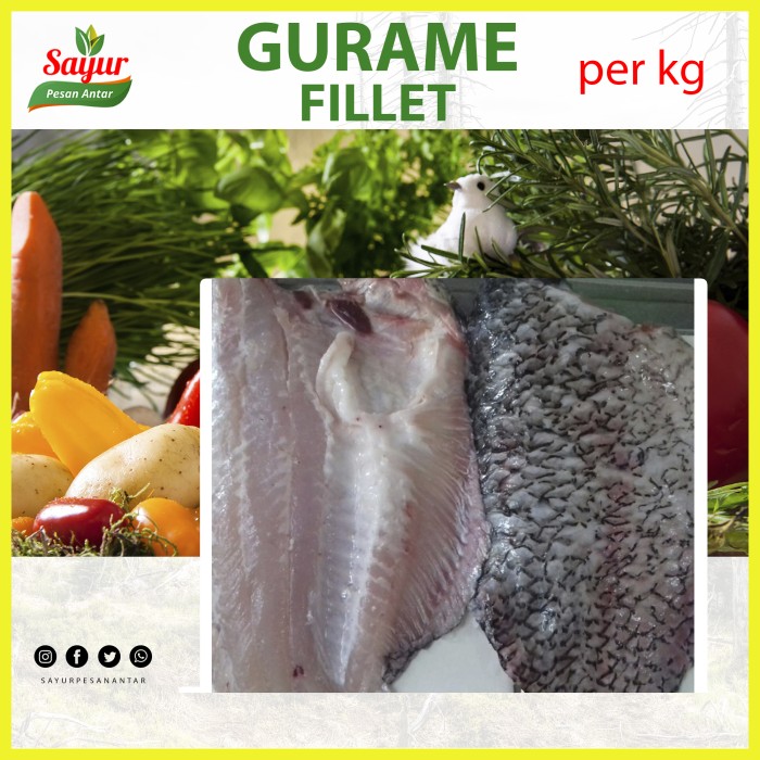 

gurame fillet 1kg fresh no frozen (fillet langsung dari gurame hidup)