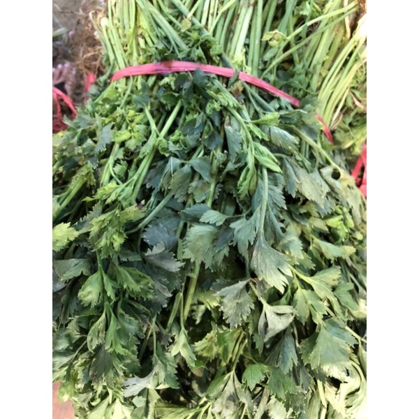 

Daun Seledri segar | 1kg