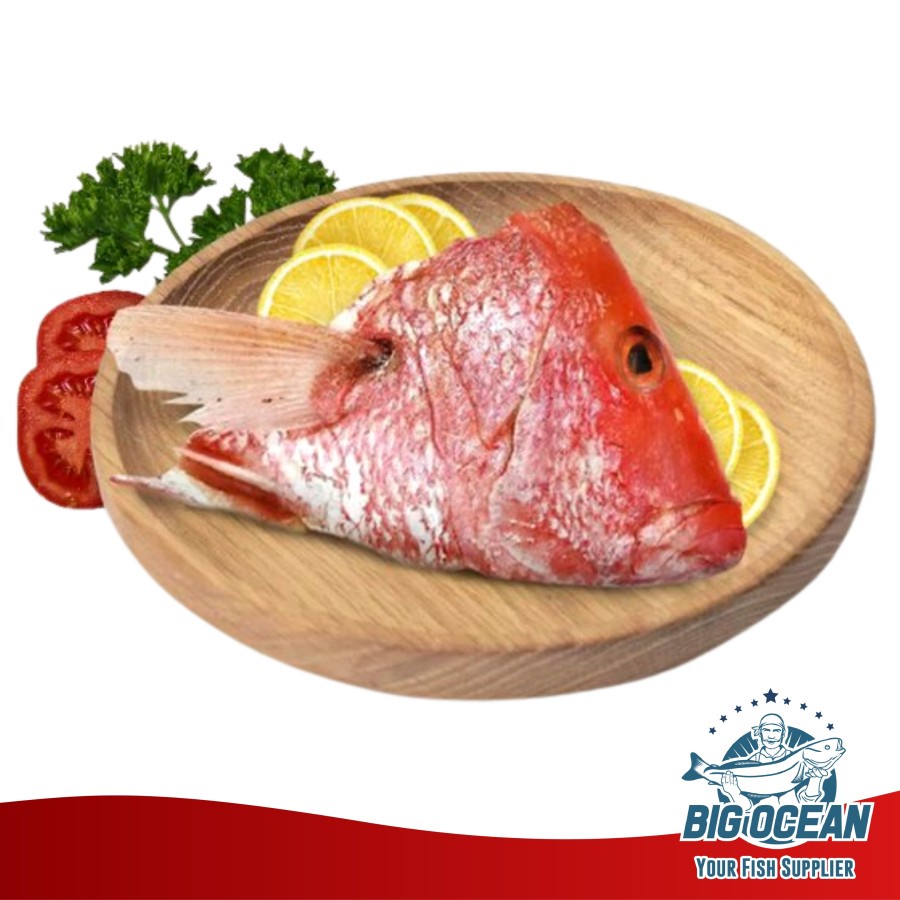 

Kepala Kakap Merah | Kepala Ikan kakap Segar @300-450gr/pcs