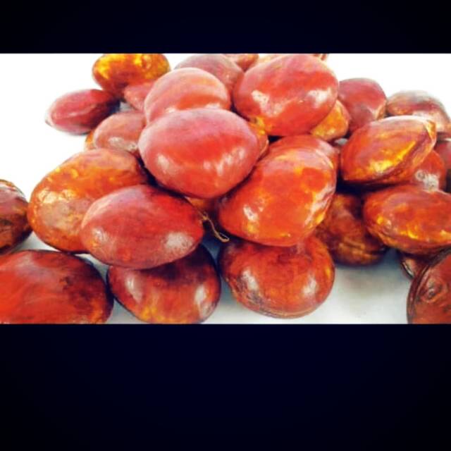 

Jengkol Tua Fress Segar 1KG Langsung Dari Petani