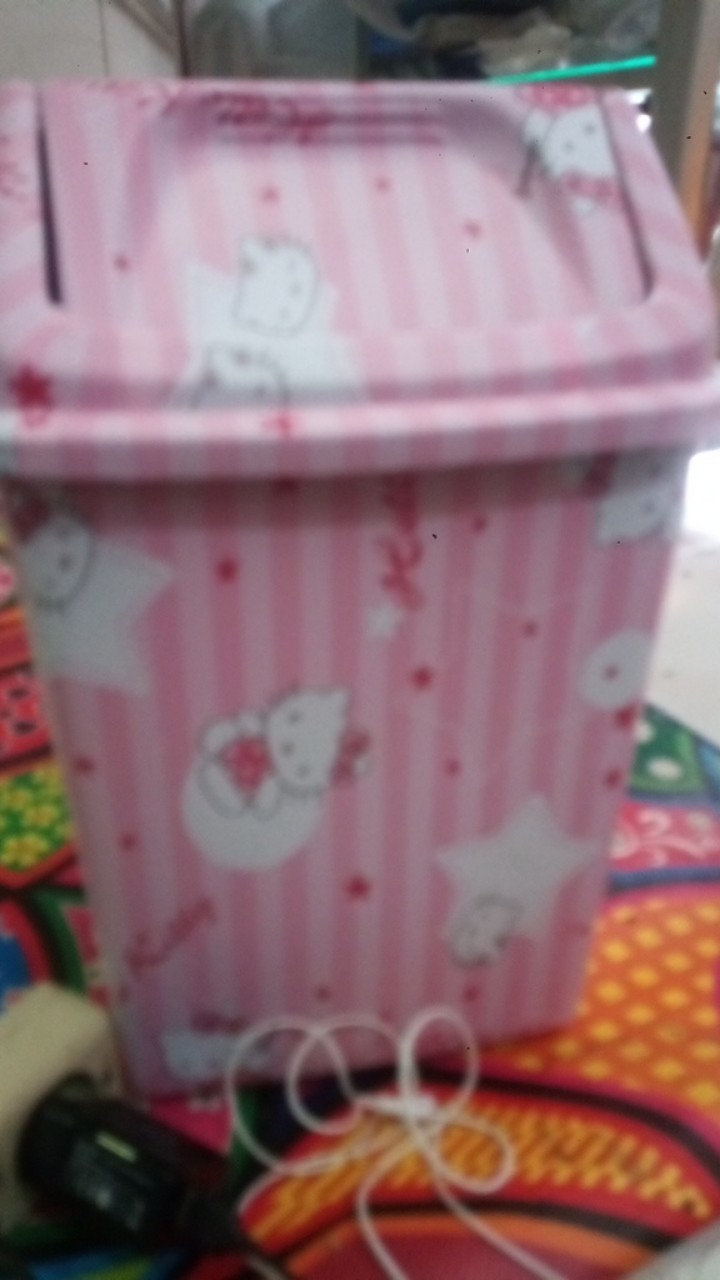 Ready Stok / Bisa Cod/ Tempat Sampah Karakter 10 Liter Tutup Goyang (handmade)