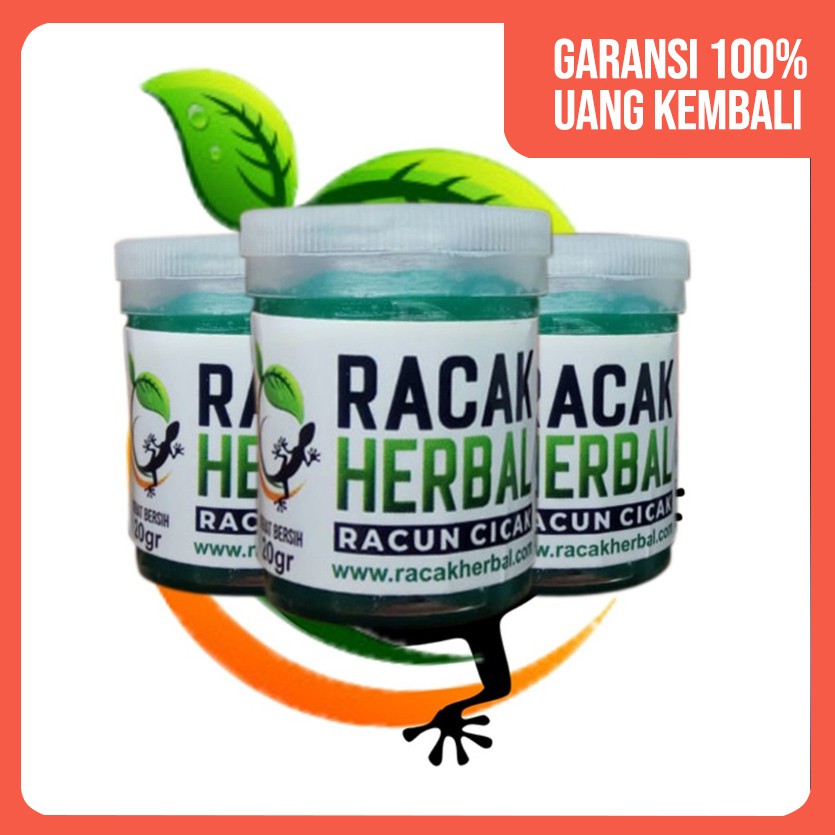 RACUN CICAK AMPUH MEMBASMI CICAK TOKEK DAN KECOA