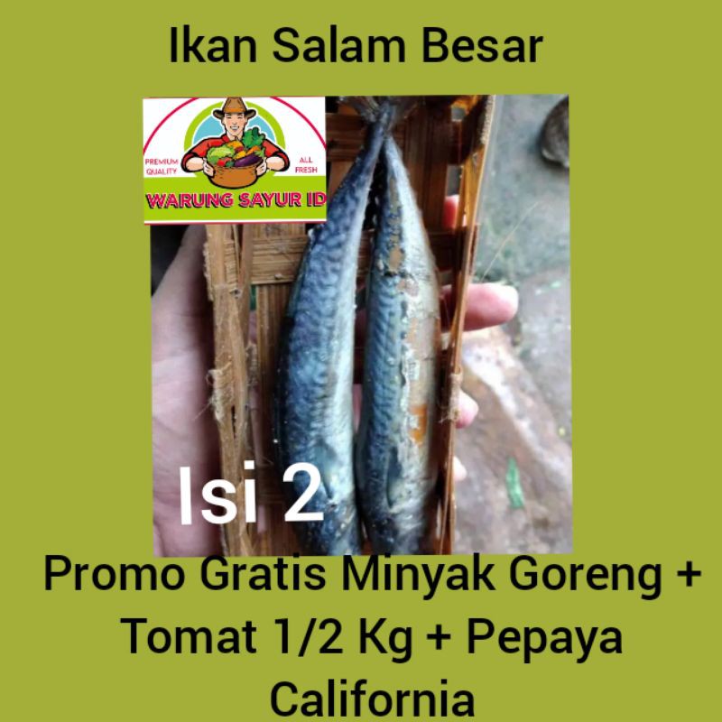 

Ikan Salam BESAR Keranjang / Ikan keranjang besar