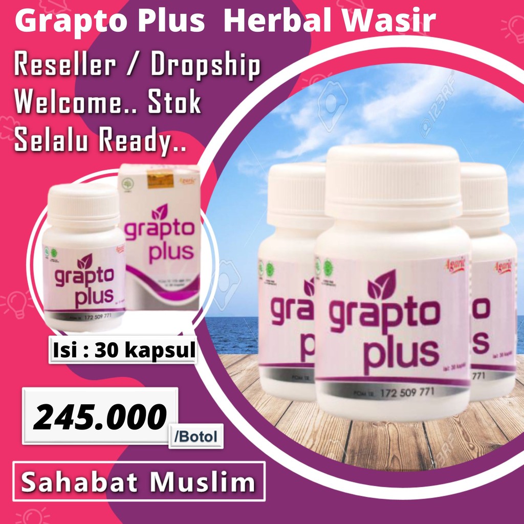 Kapsul Herbal Wasir Grapto Plus Obat Ambeien Herbal Atasi Ambeien Wasir Ampuh