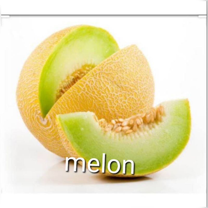 Benih melon