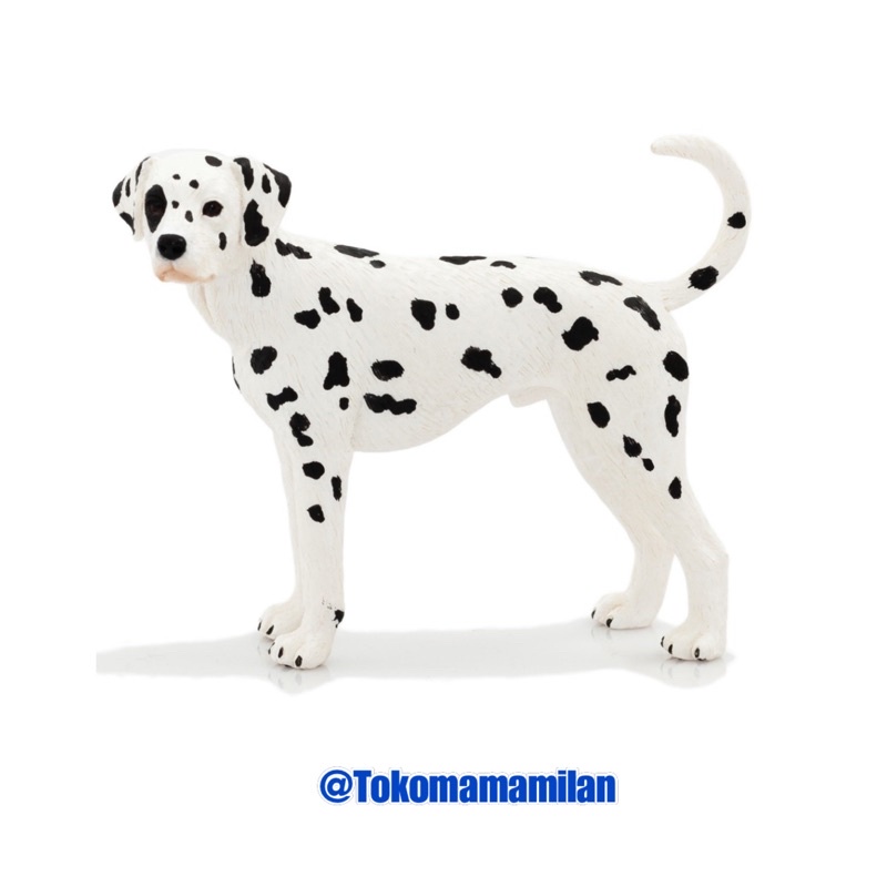Mojo | Mojo Fun Animal Figurine Dalmatian / Anjing Dalmatian – Pet Collection | Mainan Miniatur Bina