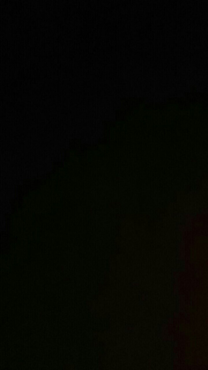 Mangkok Batok Ceper Mangkok Batok Kelapa Lepek Bunga Mangkok Batok Natural Unik