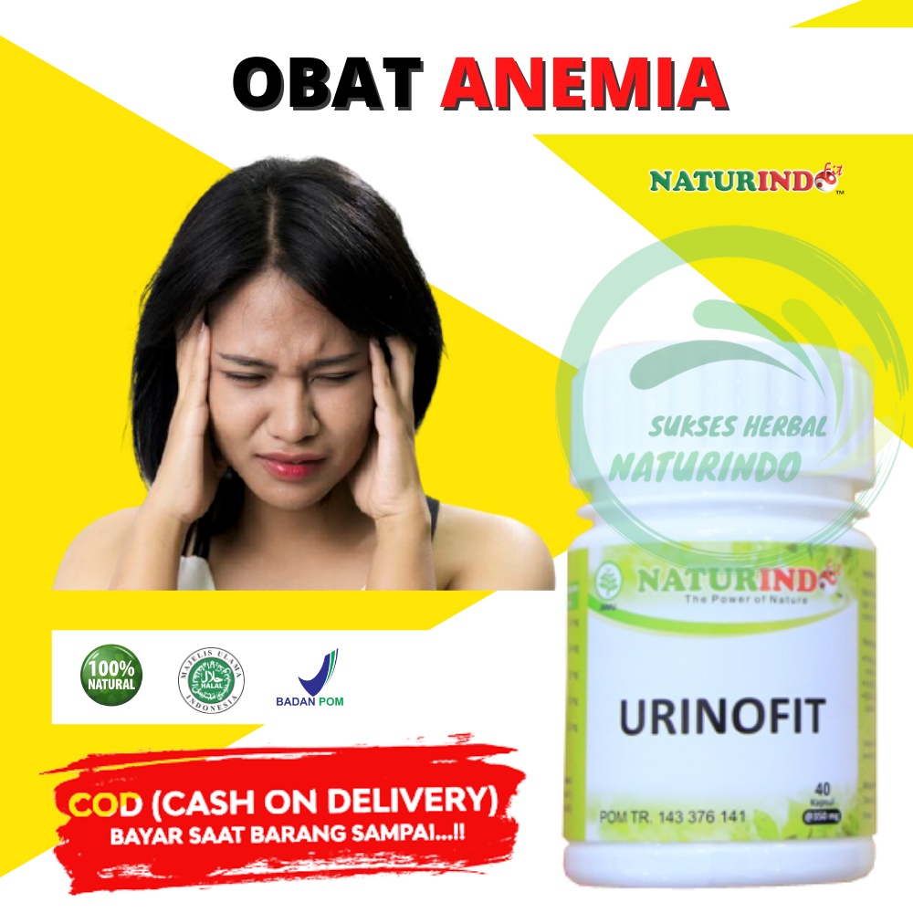 Jual OBAT ANEMIA HB DARAH RENDAH Obat Anemia Vitamin Penambah Darahl ...