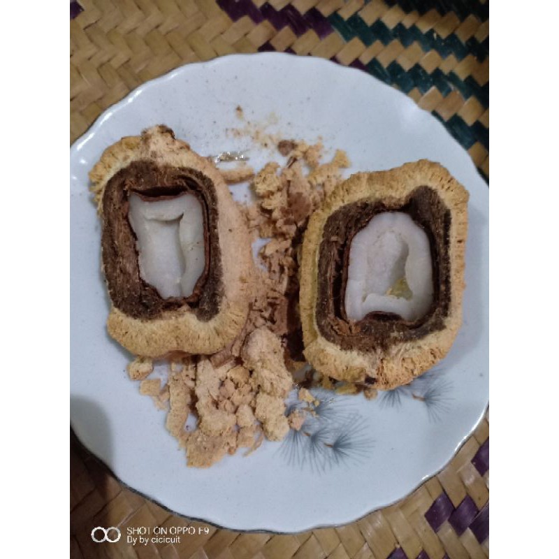 

Buah Zuriat Promil Alami