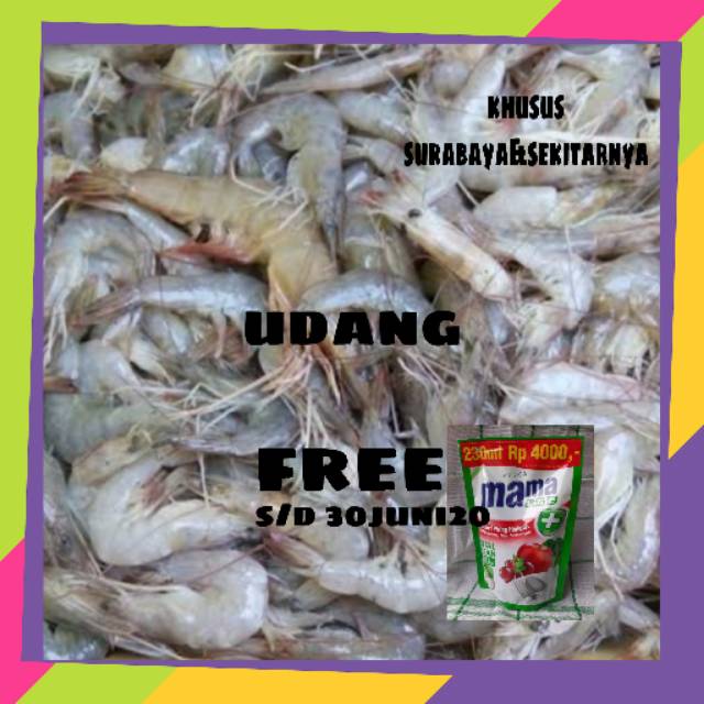 

Udang || sayur online murah surabaya