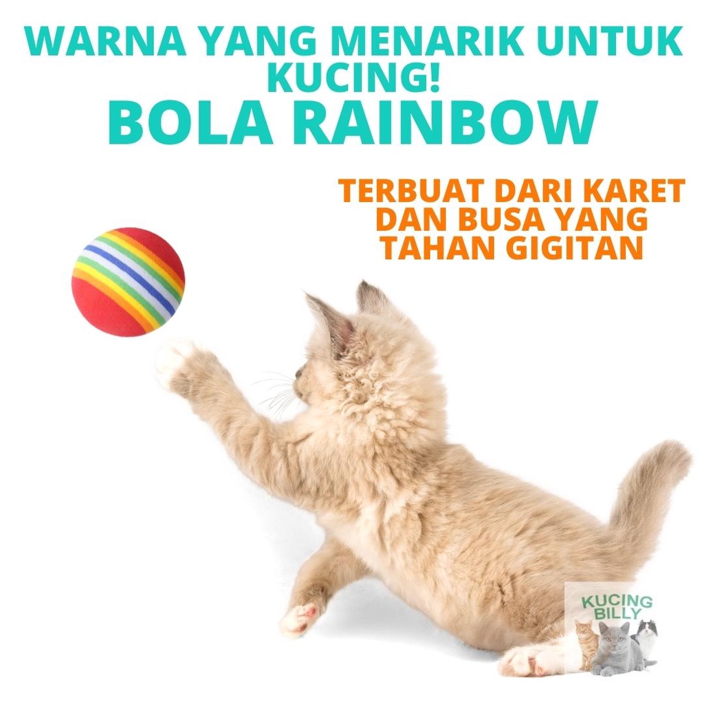 Bola rainbow mainan kucing