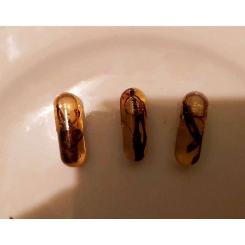 KAPSUL HIKMAH JADUG AKAR RANGKA HIRANG