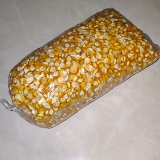 Jual Jagung Pipil Kering Kg Shopee Indonesia