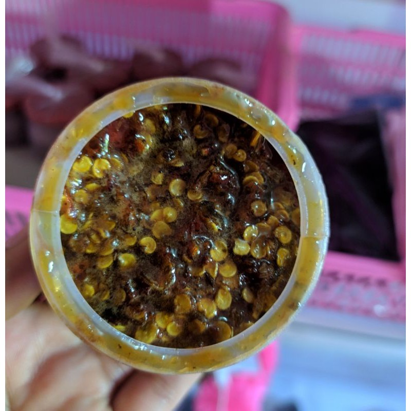 

PETIS COCOL PEDES MANIS, PETIS SIAP MAKAN, TINGGAL COCOL AJA, PETIS RUJAK