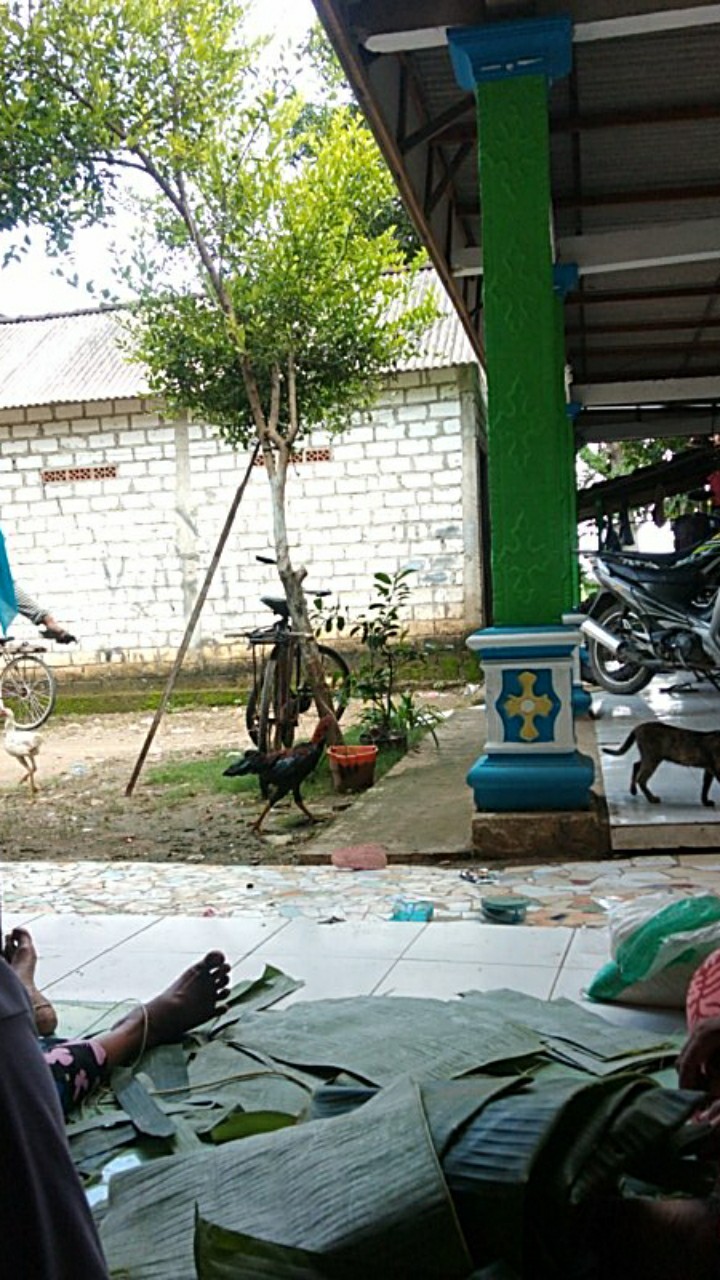 Maura Couple - Sania Ruffle Batik Couple Ori Ndoro Jowi Dnt Garansi Termurah Shopee - Couple Reno