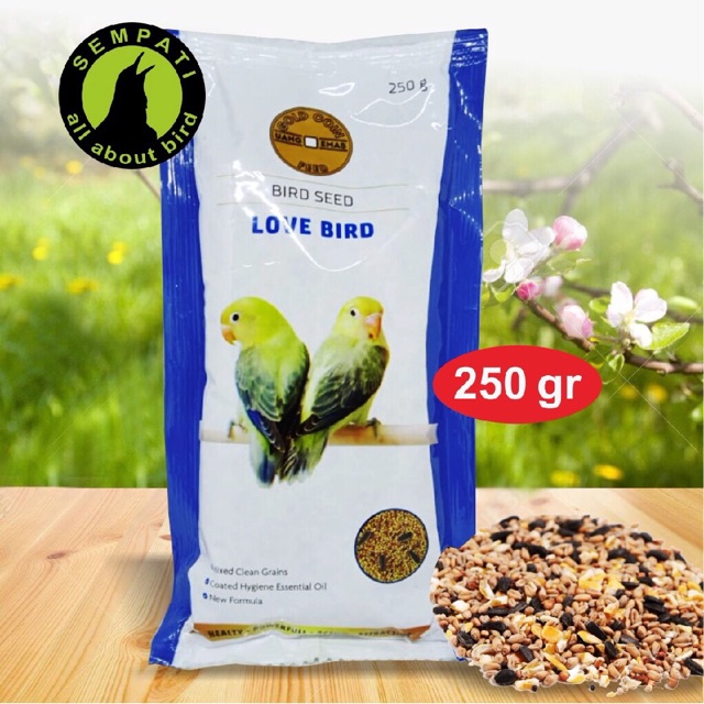 Gold Coin Lovebird Shopee Indonesia