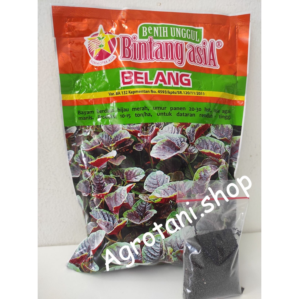Benih Bayam Merah BELANG Bintang Asia- Repacked 1000 Butir