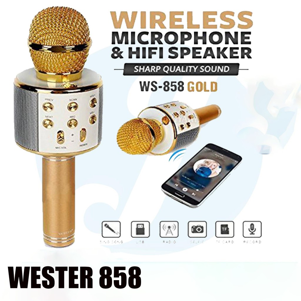 SPEAKER BLUETOOTH + MIC KARAOKE 702 - WIRELESS BLUETOOT BASS PLUS MIC [ BISA COD ]