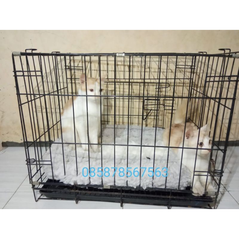 kasur kucing lembut