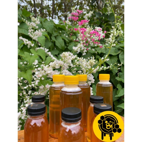 

Madu Murni Mellifera 100 ml - 250 ml