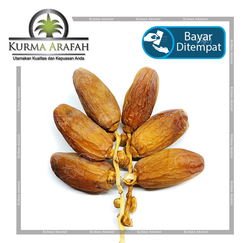 Kurma Tunisia Tangkai 1 Kg Deglet Nour