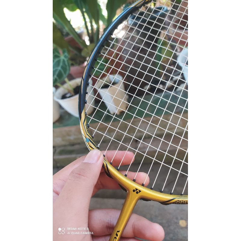 Voltric 10Dg Original