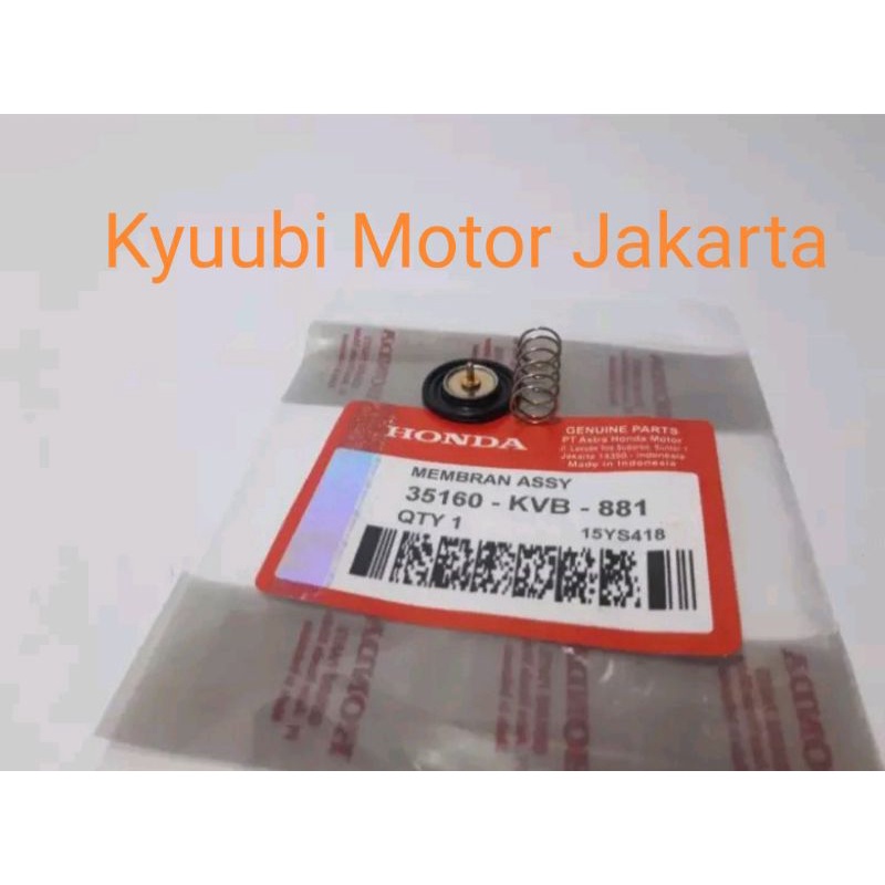 Karet Diafragma Membran Vario KVB