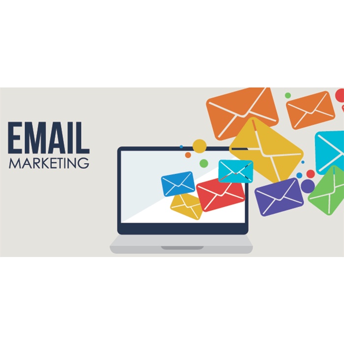 Email Marketing BIZZ - Course Video