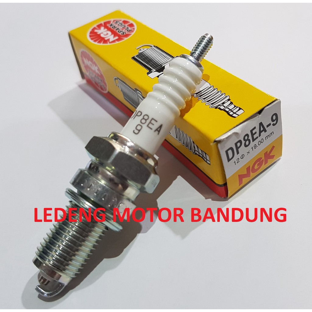 D8EA NGK Busi Motor Tiger GL-Pro Mega-Pro Thunder 250 Scorpio