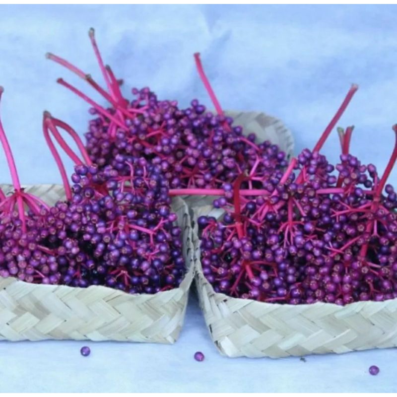 

250 gram BUAH PARIJOTO ASLI GUNUNG MURIA
