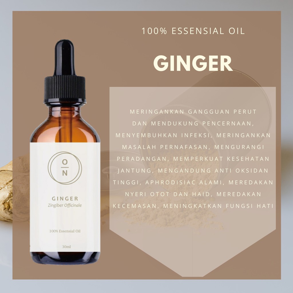 Ginger Essential Oil Minyak Jahe 100% Alami Murni