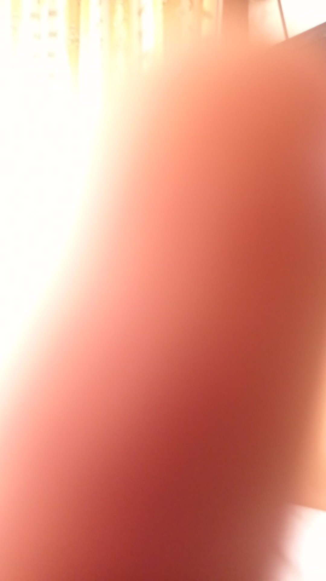 Lem Presto Dn Kayu Alifatik 600 Gram