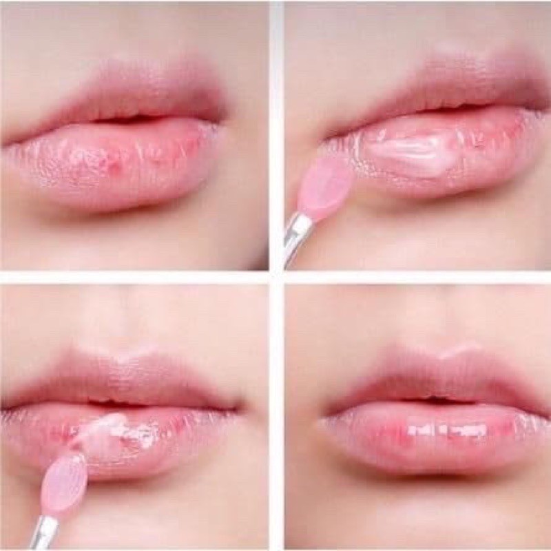 laneige lip sleeping mask masker bibir lipbalm