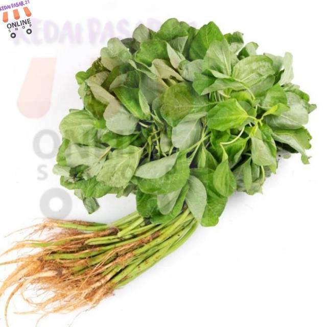 

Kedai pasar21 Sayur Daun Bayam Segar per Ikat Murah