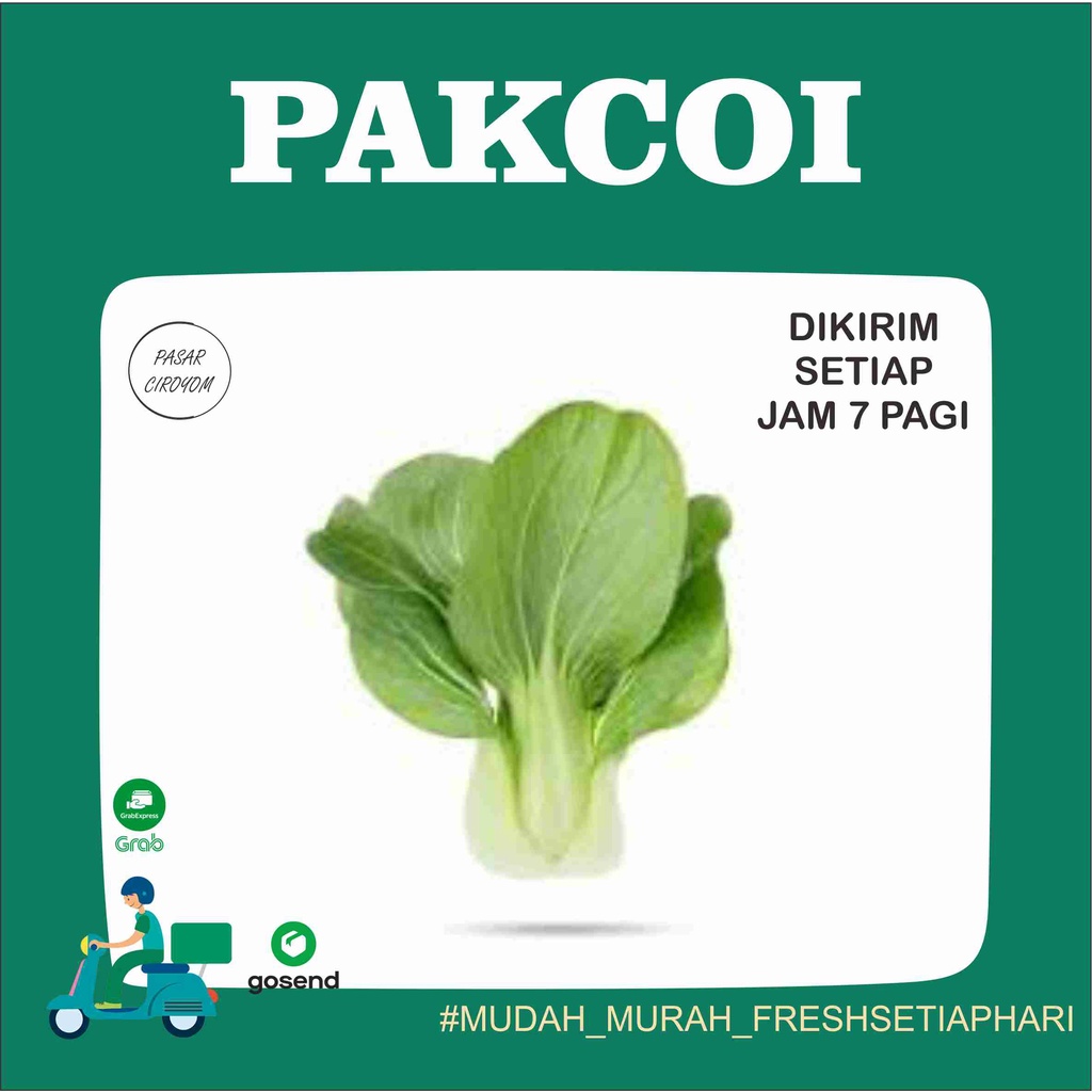 

PROMO PAKCOI/SAWI SENDOK/PHAKCOI FRESH BANDUNG MURAH 1KG / SAYUR ONLINE