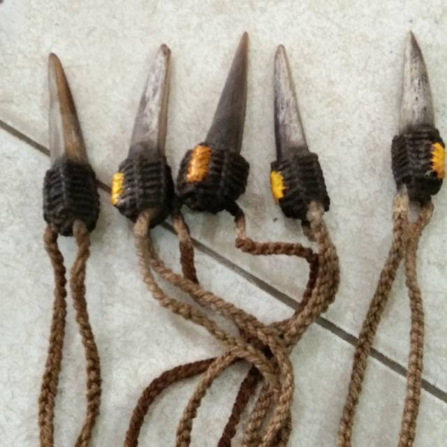 Kalung Kuku Burung Kasuari Shopee Indonesia