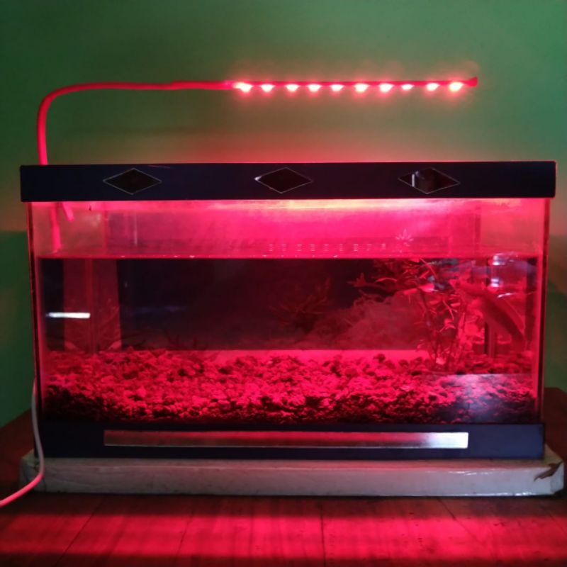 lampu aquarium led warna merah 10 titik