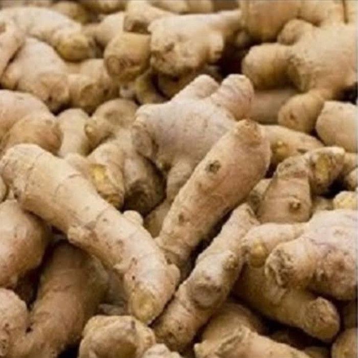 

Jahe Emprit Segar 500 Gram