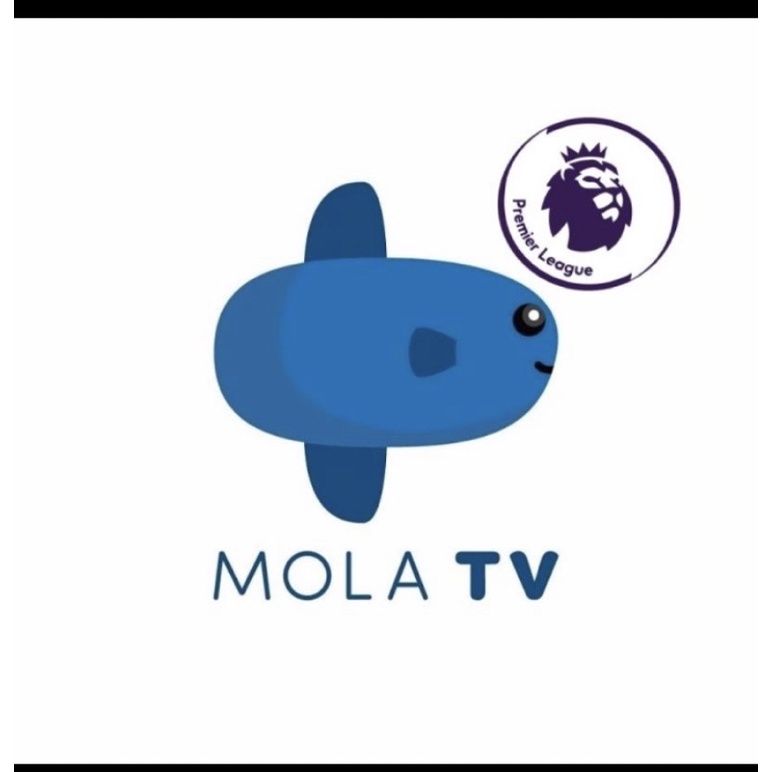 Paket Mola tv UFC EPL 1 Bulan