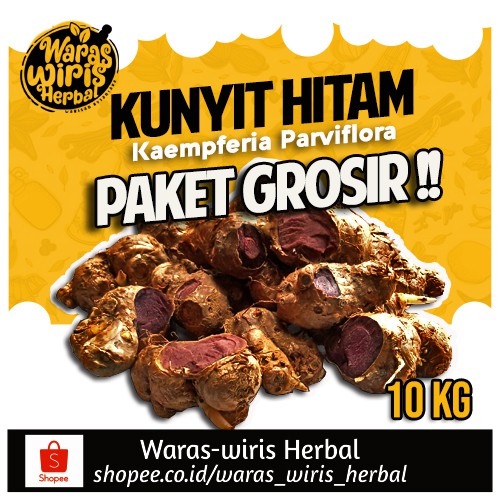 

Rimpang Kunyit Hitam 10 Kg ( Kaempferia Parviflora )