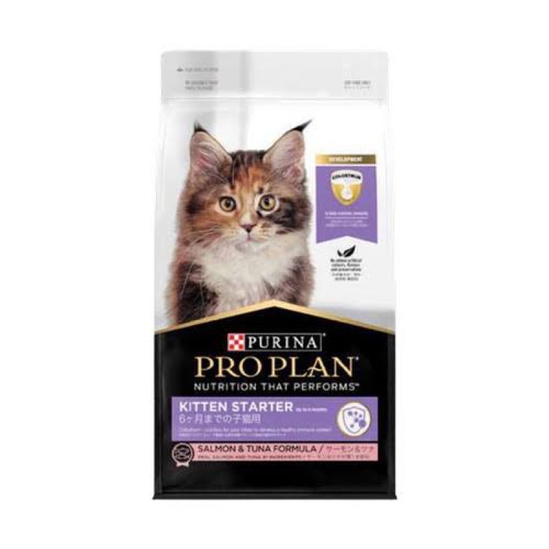 proplan kitten starter 8kg