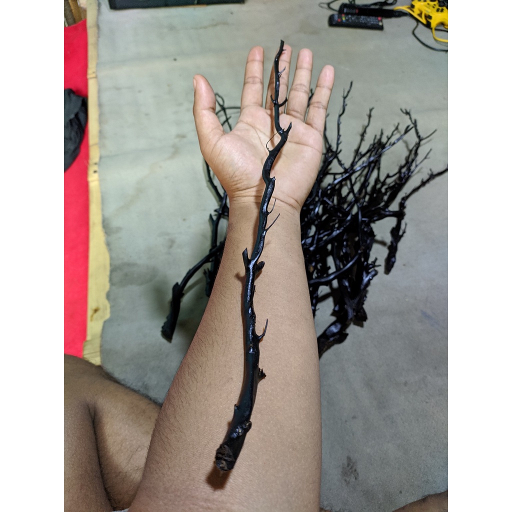 Bahan akar bahar hitam asli berserat papua size kretek