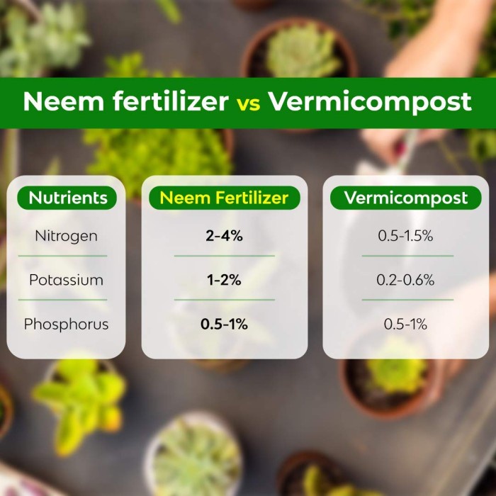 Insektisida dan Pupuk Organik Neem Cake 200gr (Geek Farmer)