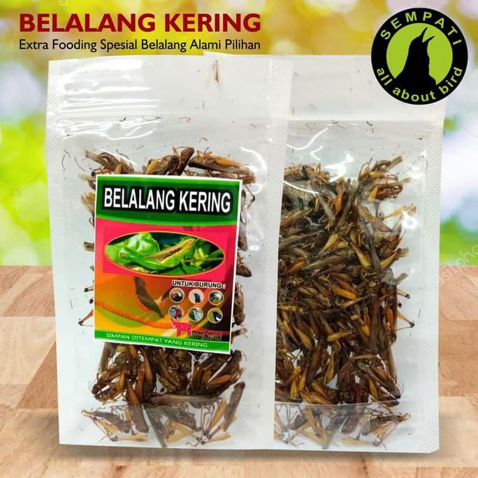 

BELALANG KERING R FAM JAYA PAKAN BURUNG MURAI KACER ANIS DLL JA18 PROMO
