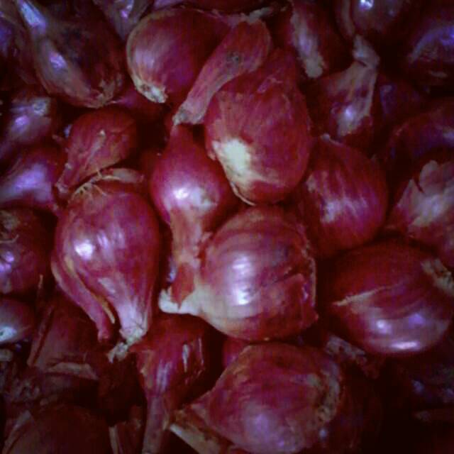 

Bawang merah ukuran besar/jumbo